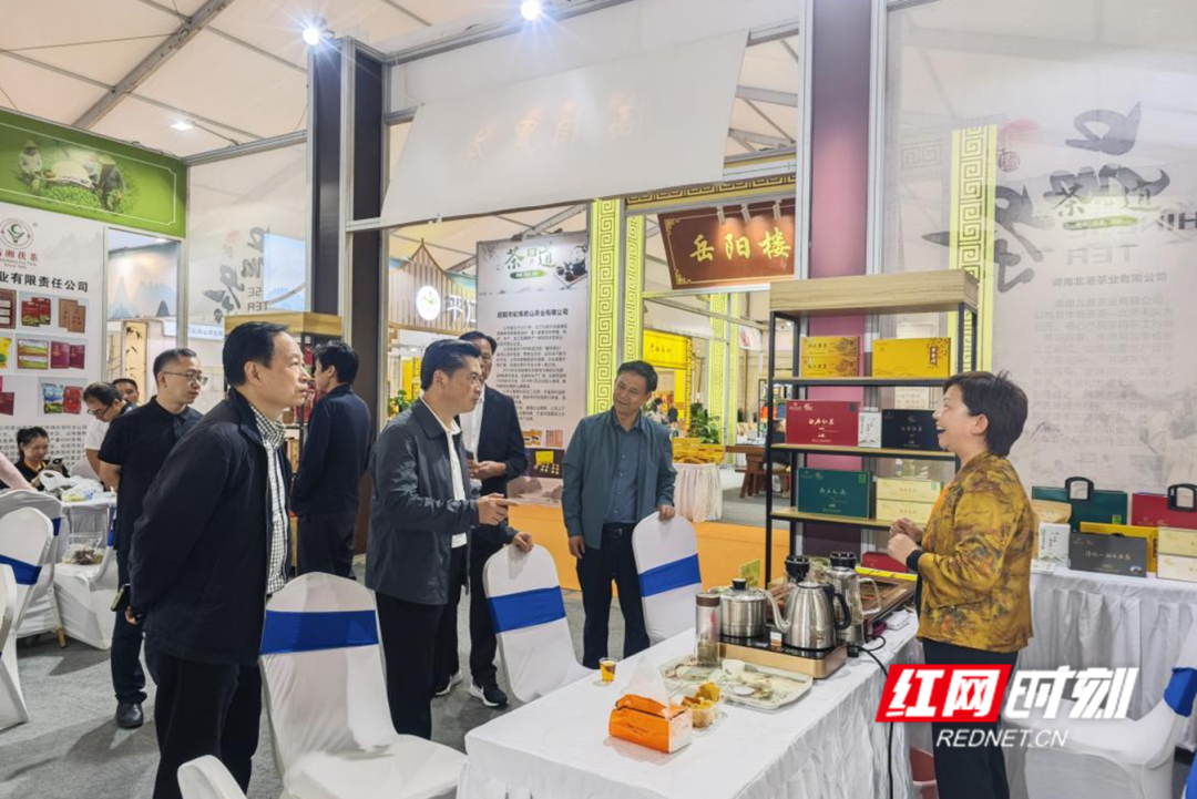 盛世興茶③|白石名茶閃耀岳陽茶博會(huì)，芬芳滿座迎八方來客