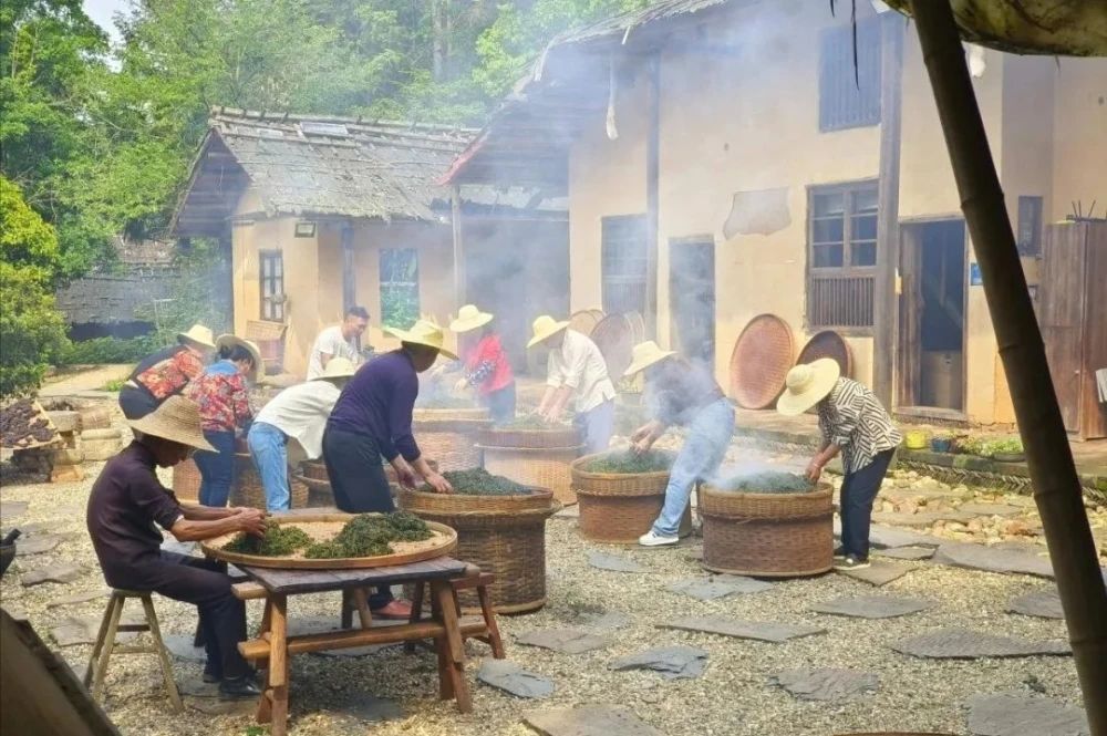 陳奇志 || 賀平江谷雨煙茶工坊入選省非遺示范點